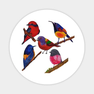 Colorful Birds Magnet